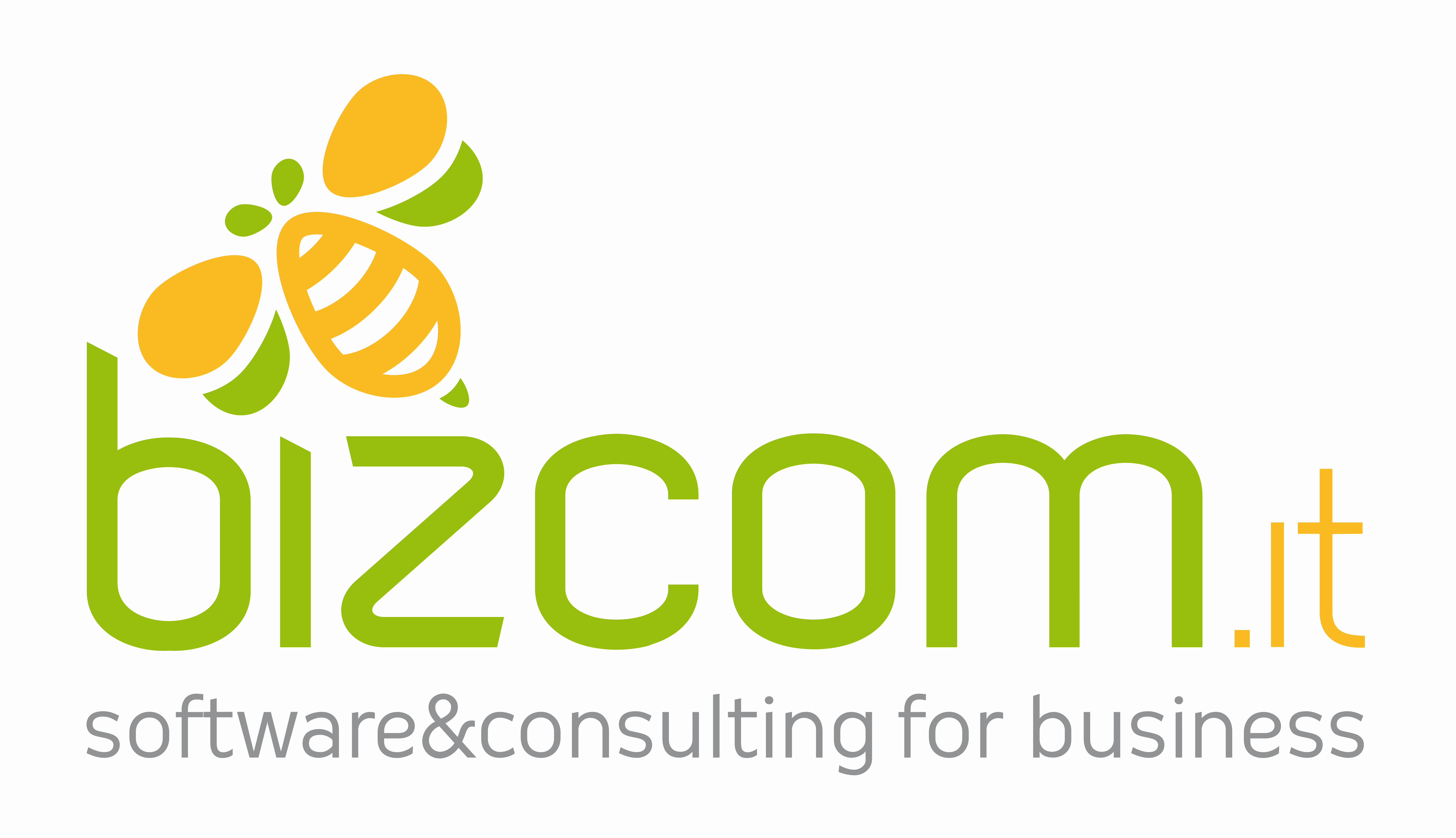 Logo Bizcom.it srl